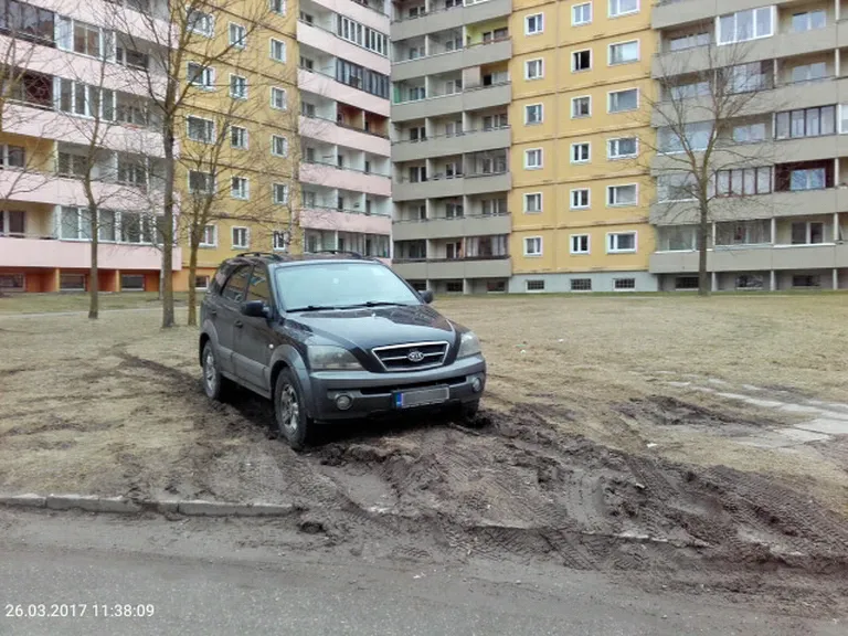 Нарушитель по адресу Мыйзавахе, 42.
