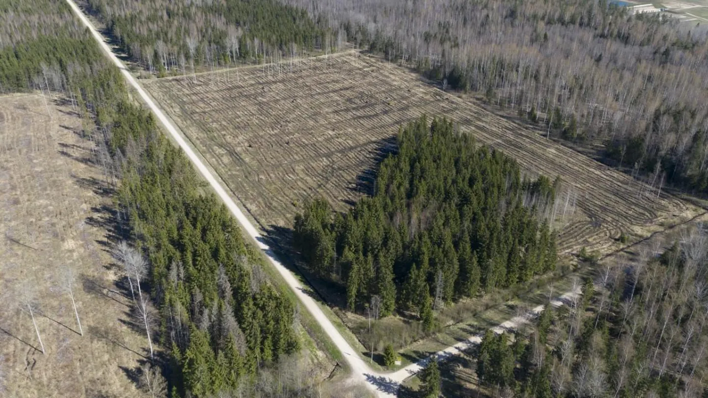 Kaitseliit kutsub Väluste lasketiiru kõrvale metsaistutustalgutele.