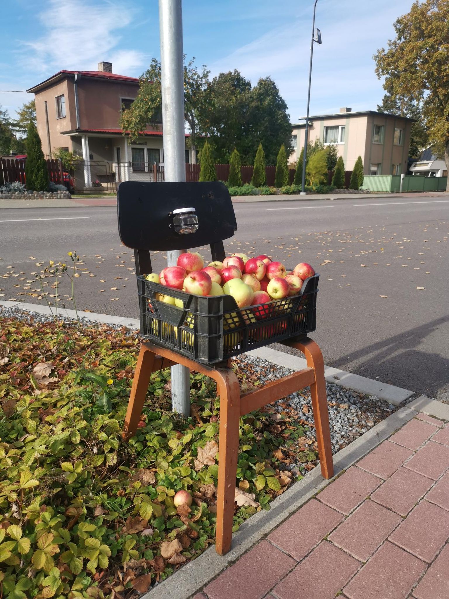 Rakveres Vallikraavi tänaval on püsti pandud iseteeninduskassaga õunaäri.