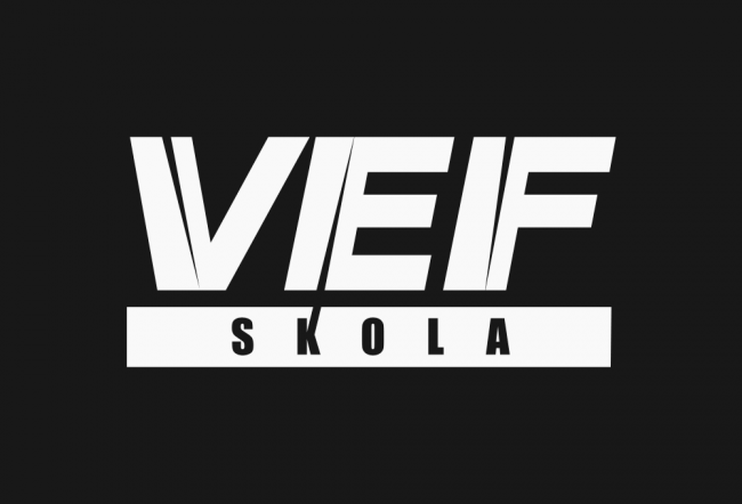 "VEF skolas" logo.