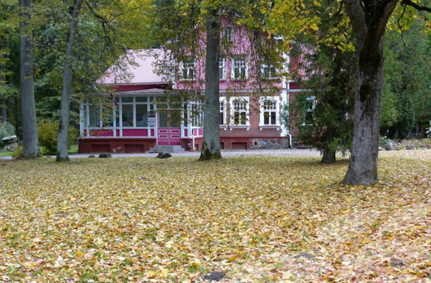 Raksta foto