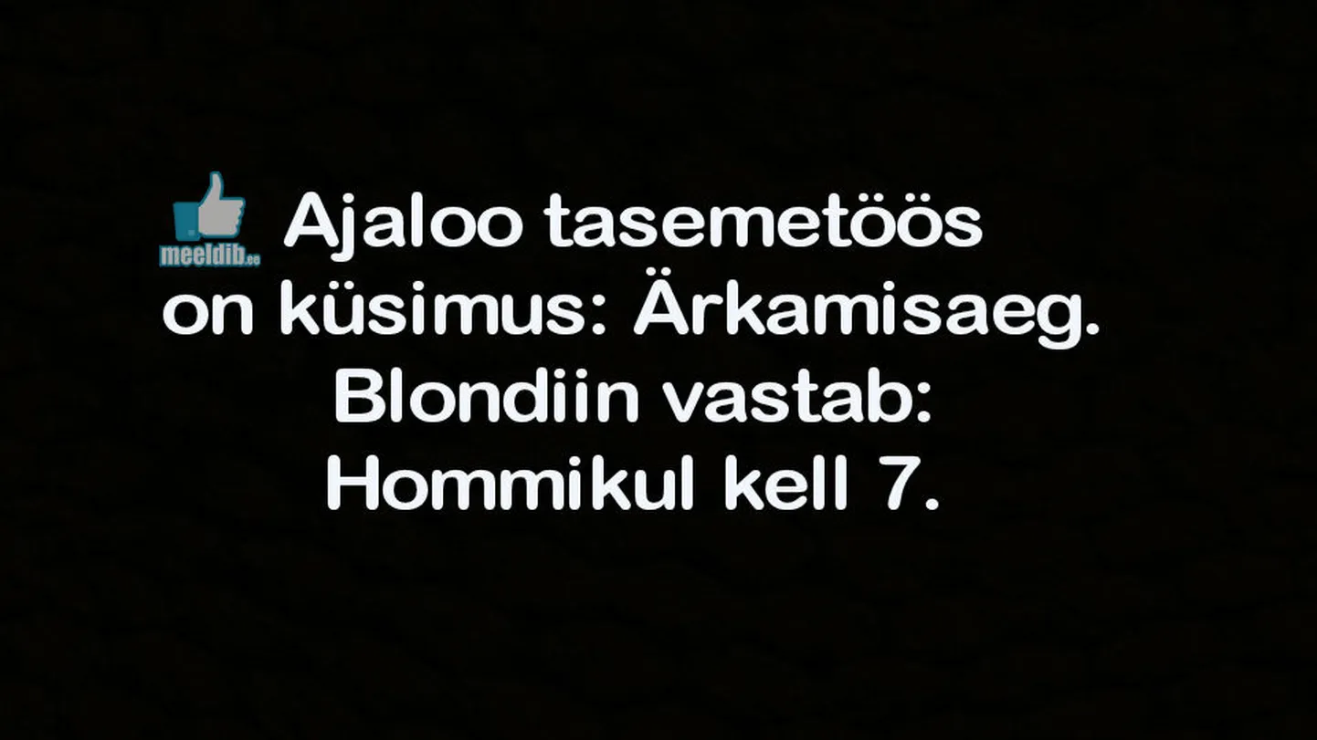 Artikli foto