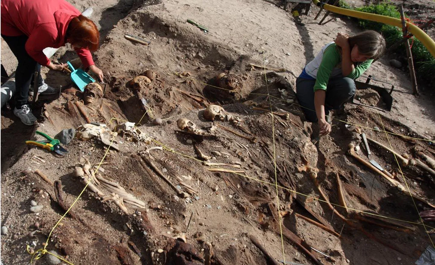 В результате раскопок, проведенных в Сальме в этом году, археологи обнаружили еще 26 скелетов скандинавских воинов. Захороненные в три слоя воины покоятся вместе с мечами, что указывает на их знатное происхождение.