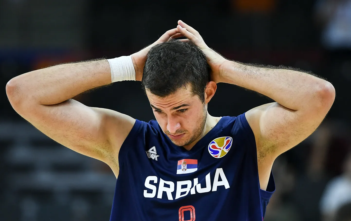 Nemanja Bjelica