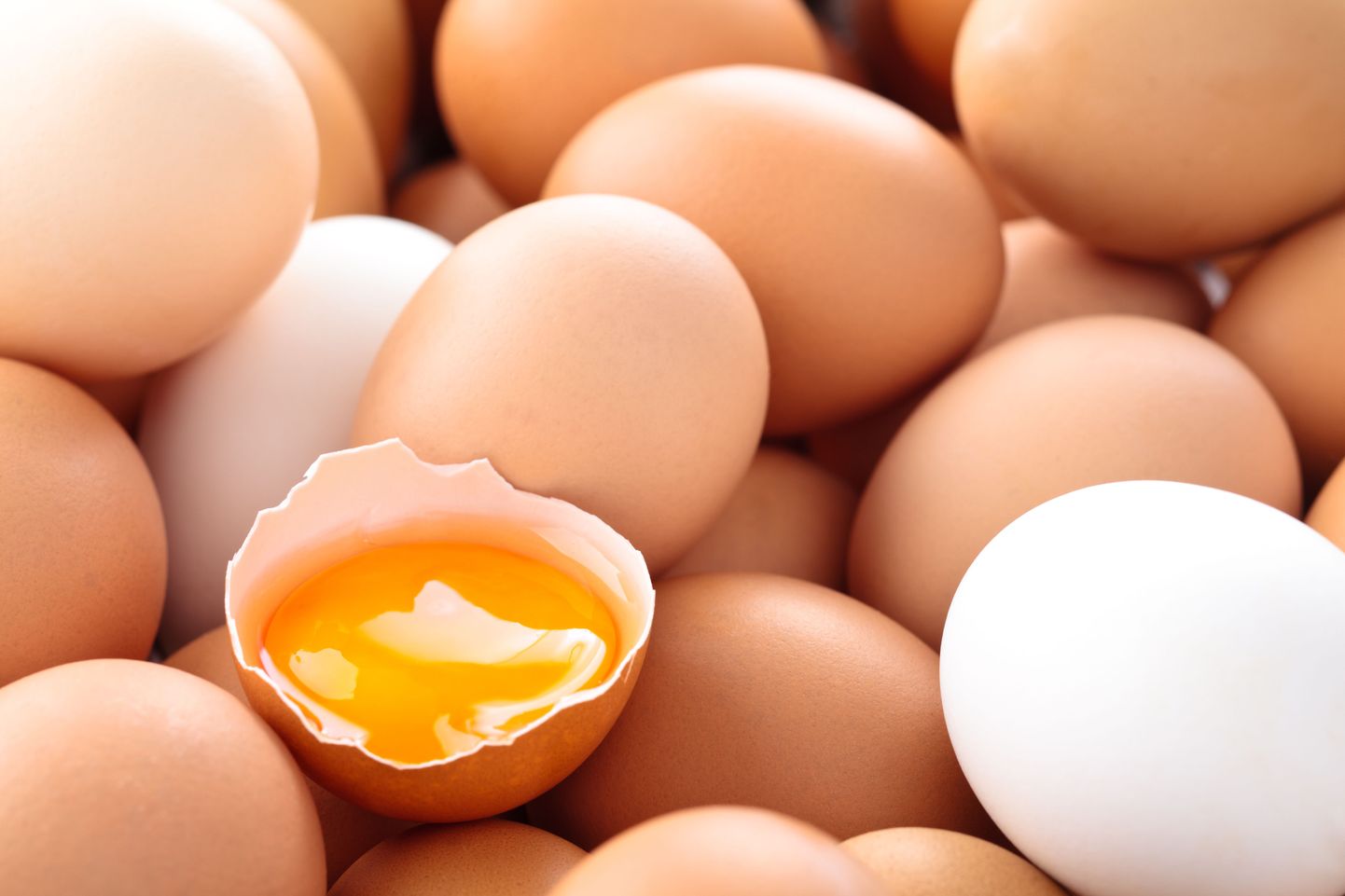 Osa munadest sööb naine toorelt.
