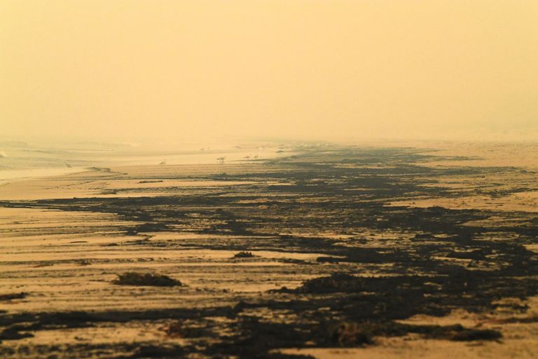 Tuhavallid Merimbula rannas.