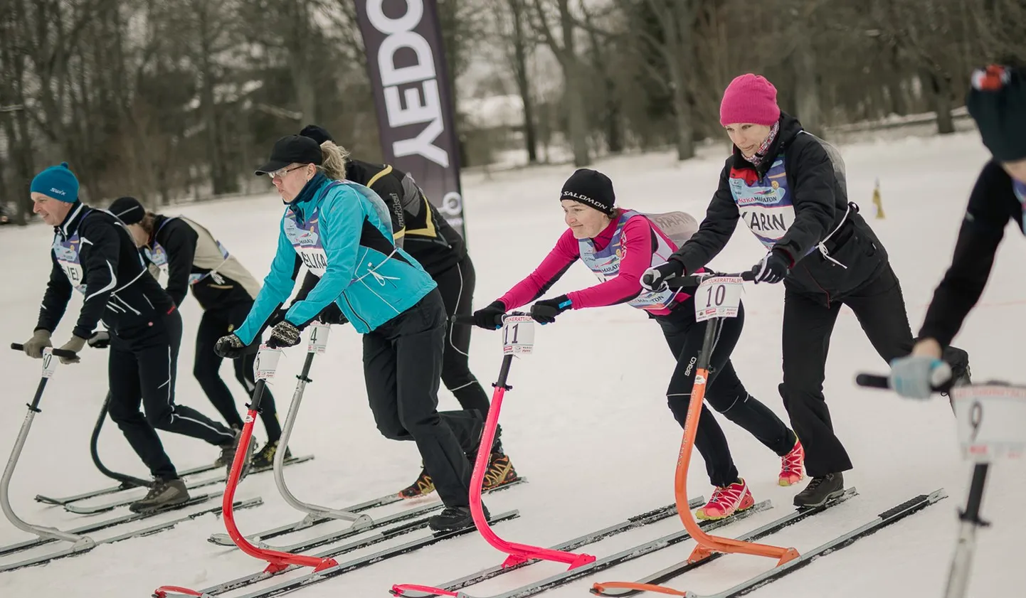 Pühajärve tõukekelgumaraton.