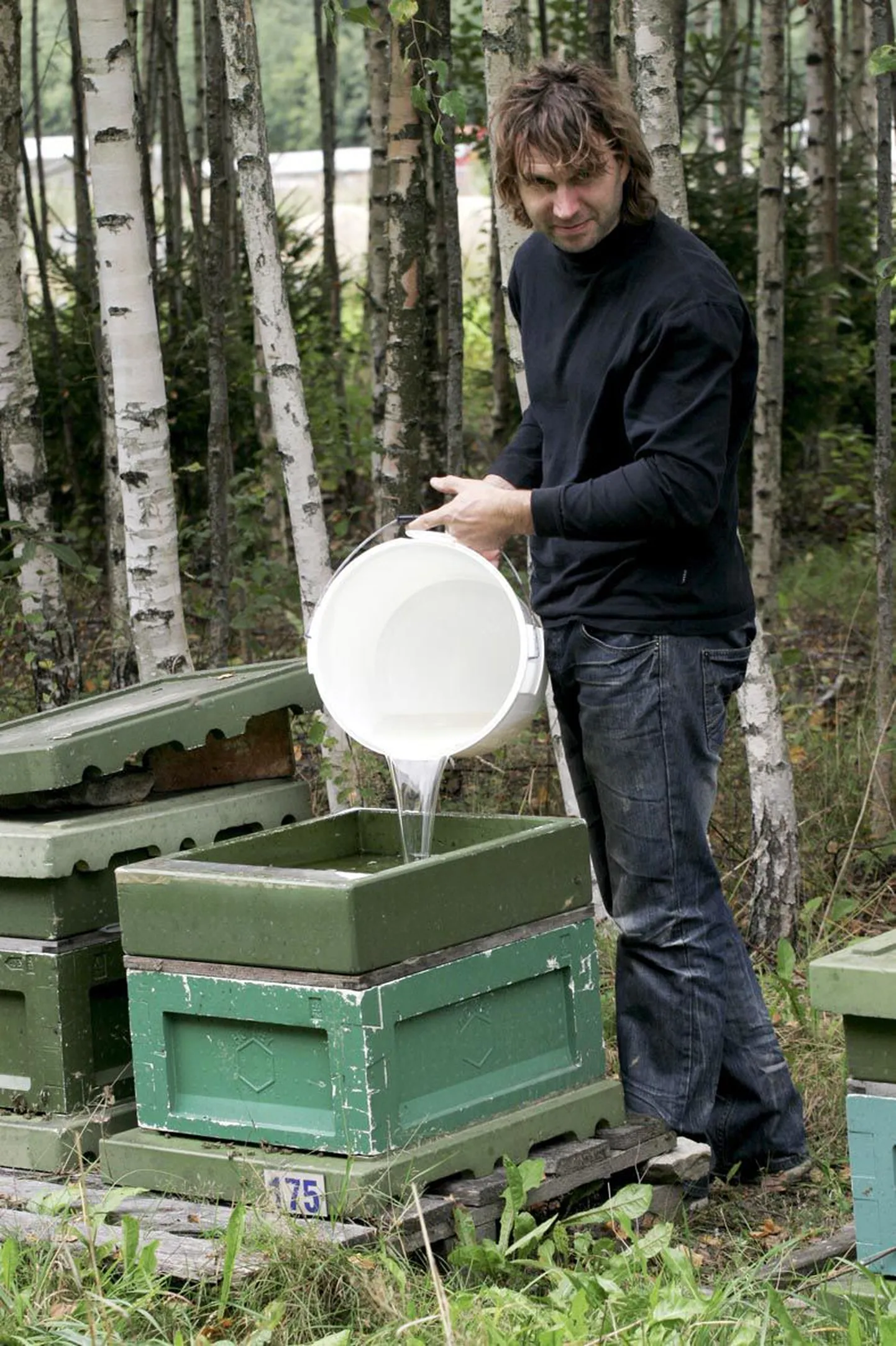 Paradiisi mesila juhataja Tarmo Jaanisk valab mesitarudesse suhkrusiirupit, muud tööd on tarude juures juba lõppenud.