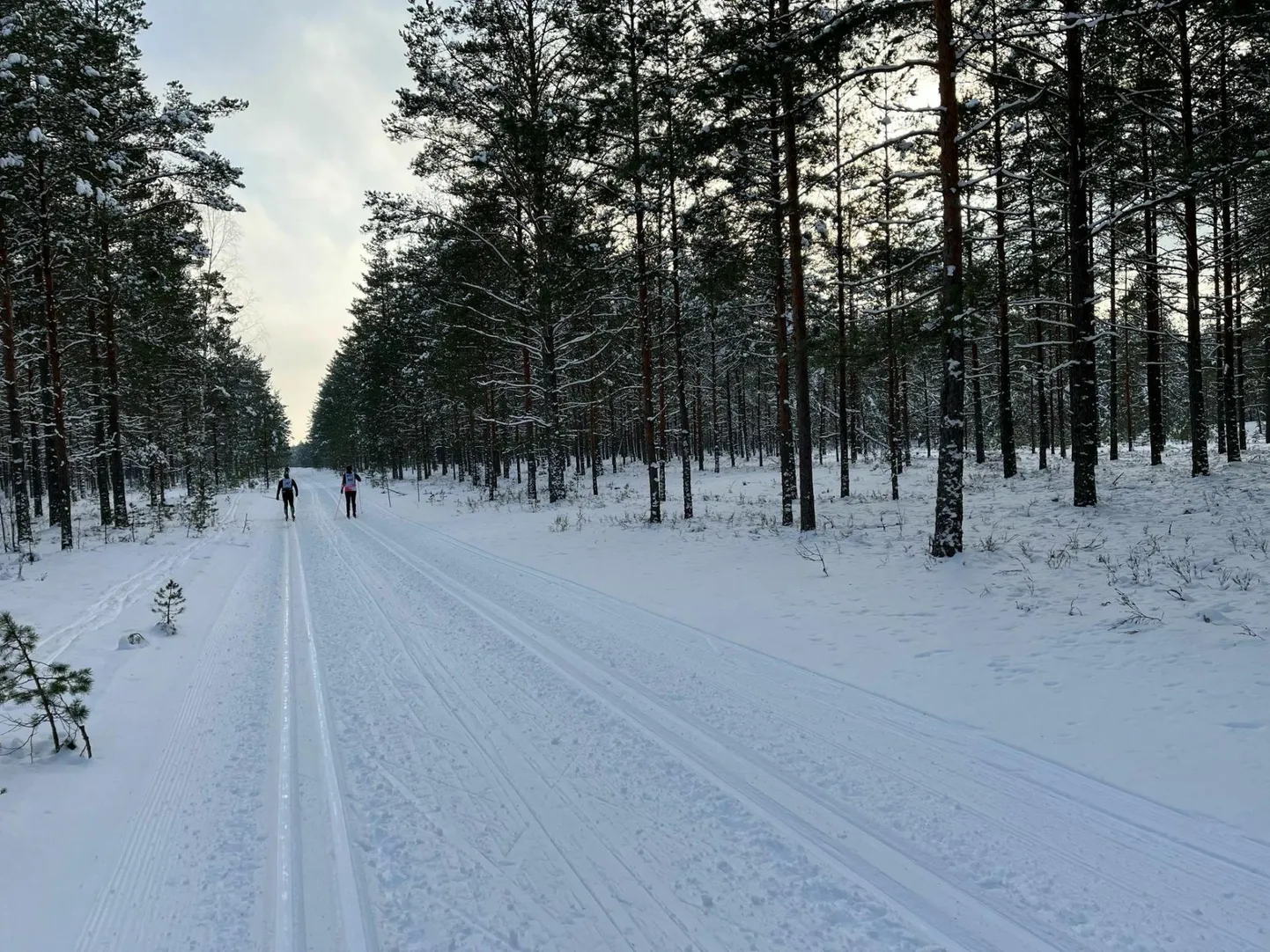 Alutaguse tervisespordikeskuse suusarajad on heas seisukorras ka pärast seal möödunud nädalavahetusel peetud maratoni.