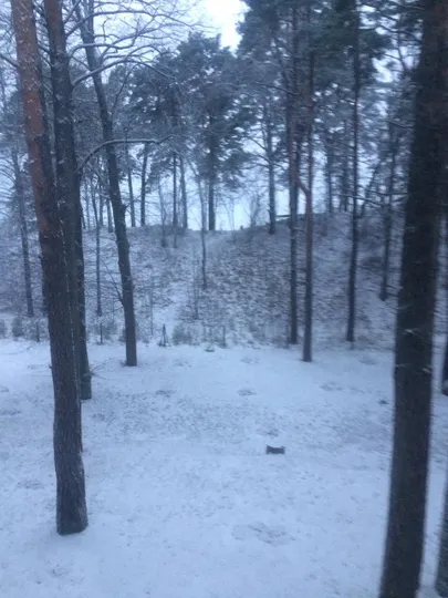 Нарва-Йыэсуу