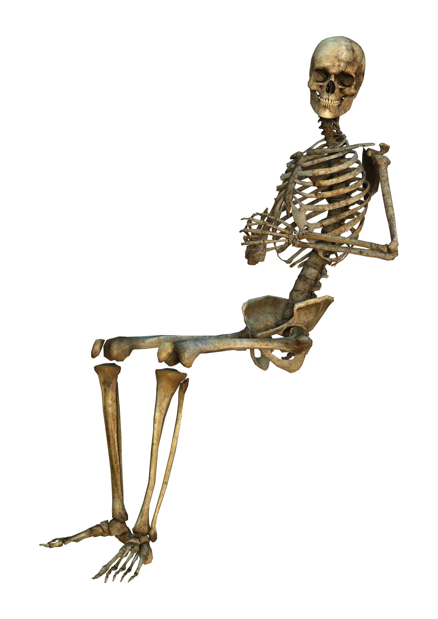 Skelett. Pilt on illustreeriv