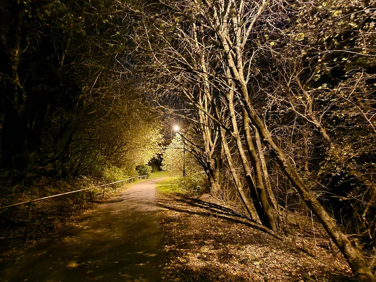 Artikli foto