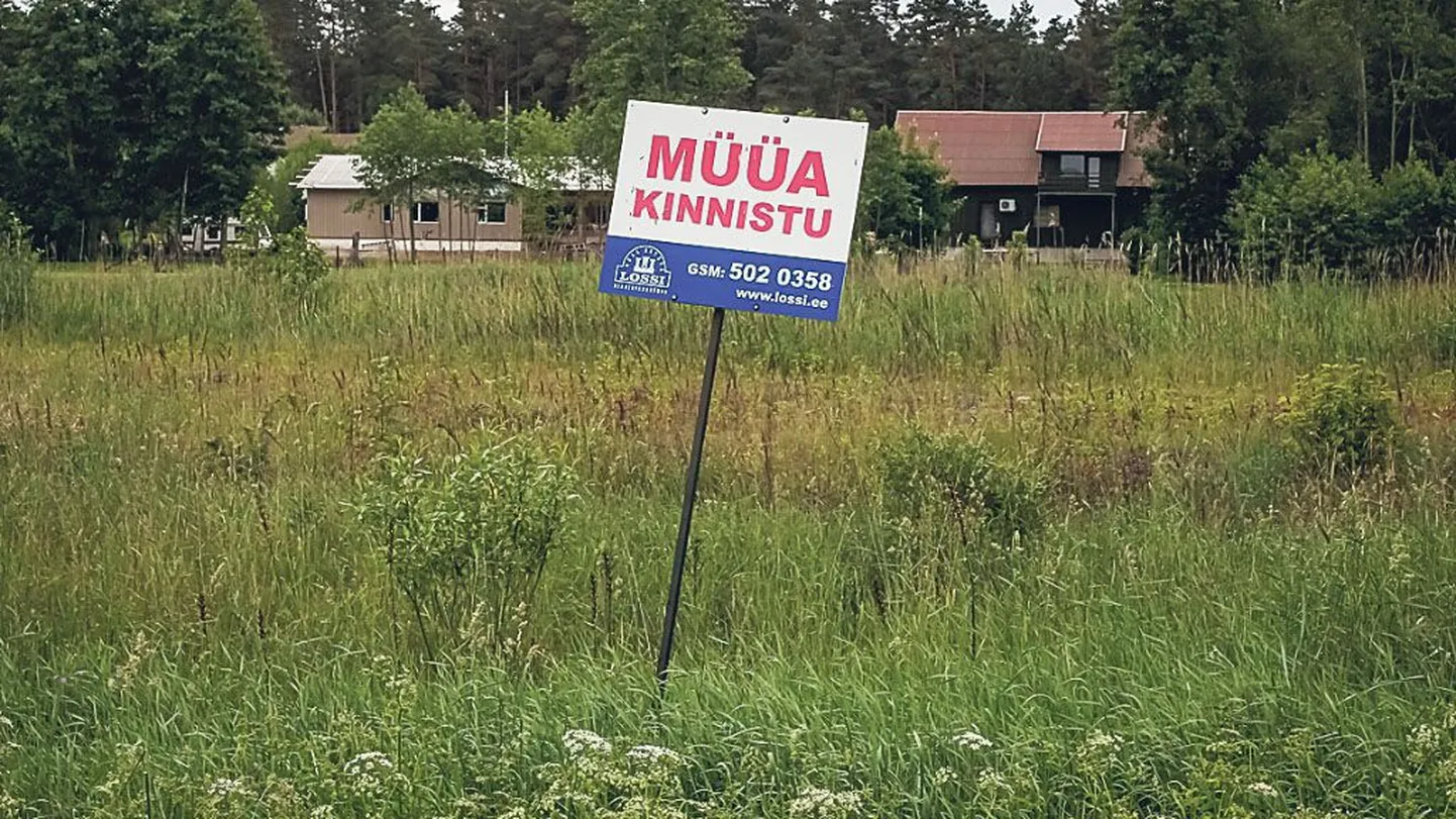 Linna ümber valdades on kinnisvara pakkumisi palju.
