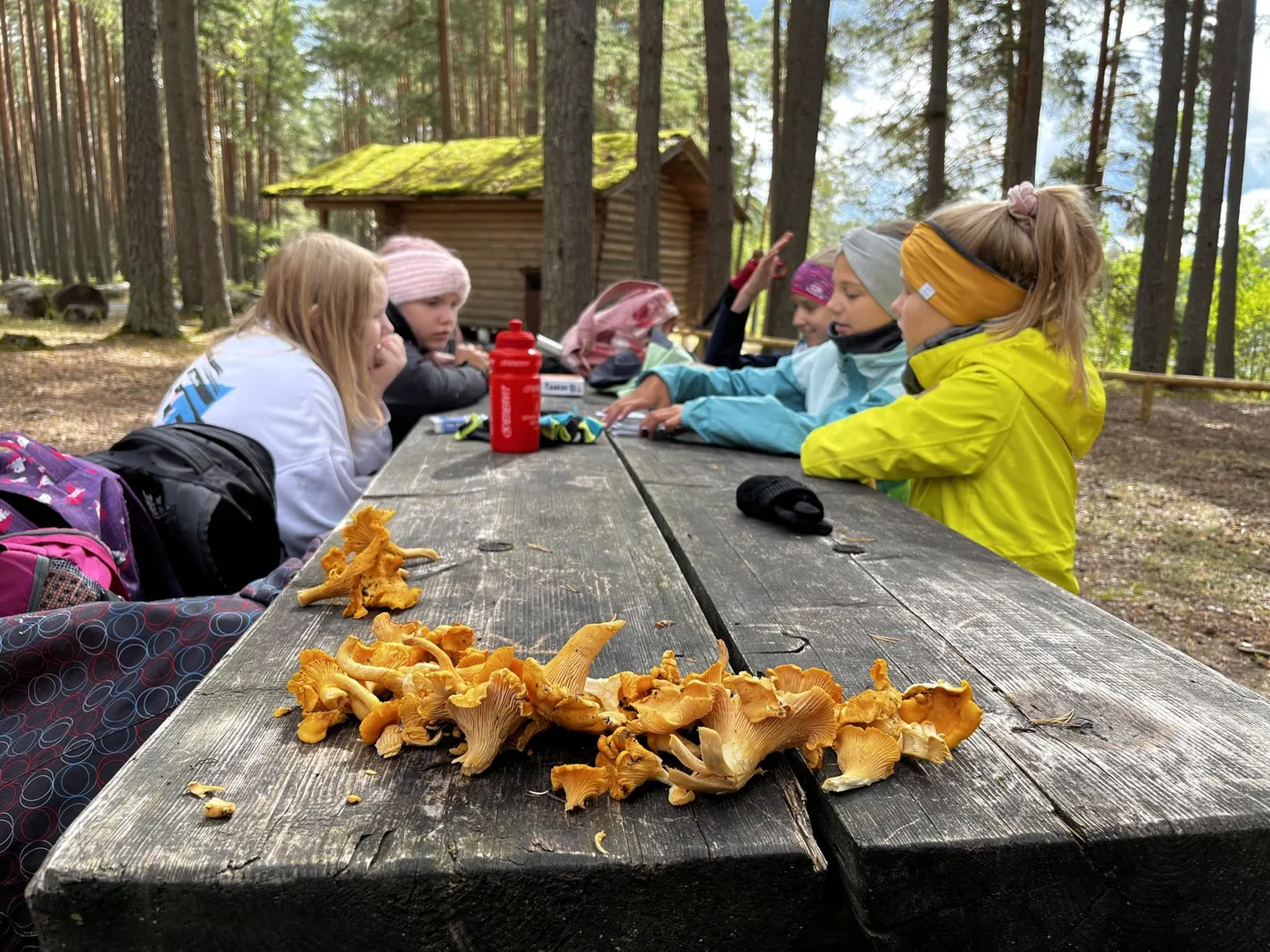 Laagrid leiavad aset Võrumaal.