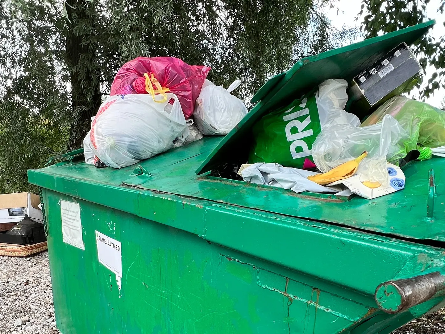 Переполненный мусорный контейнер со смешанными бытовыми отходами. Фото иллюстративное.