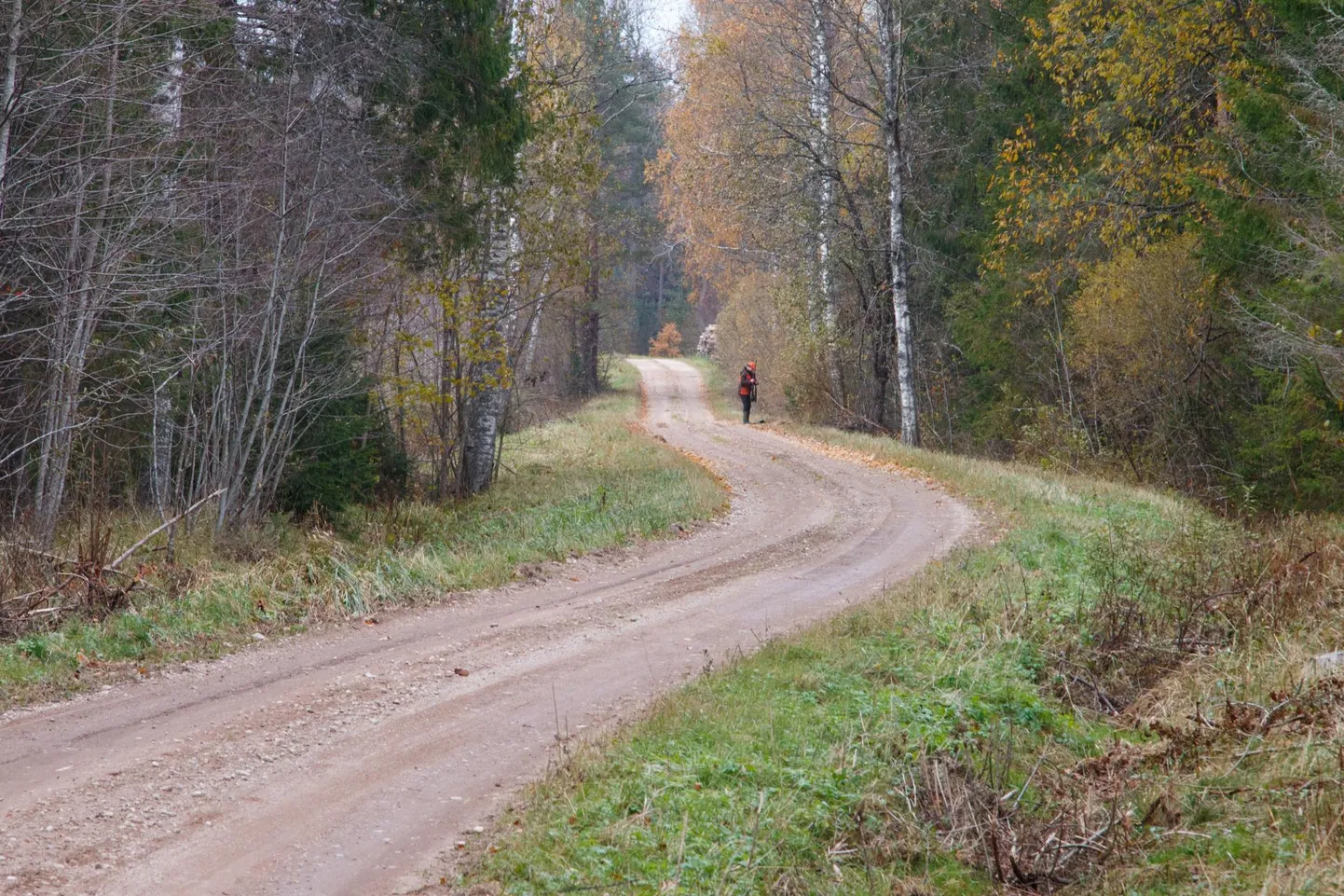 Aga mis saab piirkondadest, kus kehvemad palgad? Alati on kirglikke loodusinimesi, kelle jaoks peamine on enda ümber rahu ja rohelust näha, aga paljudele on siiski väga oluline seegi, et peret saaks hellitada raha eest ostetavate väärtustega.