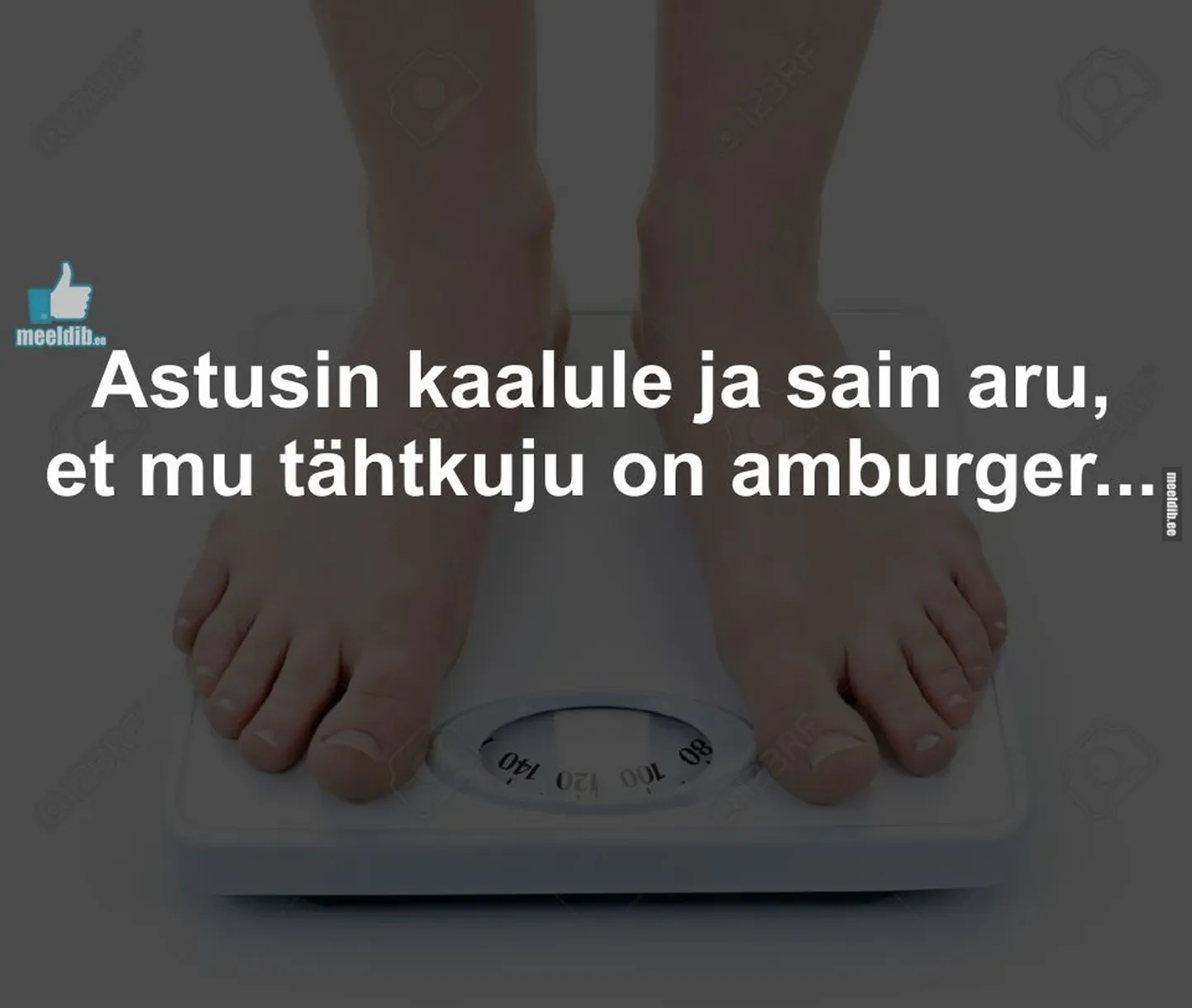Artikli foto
