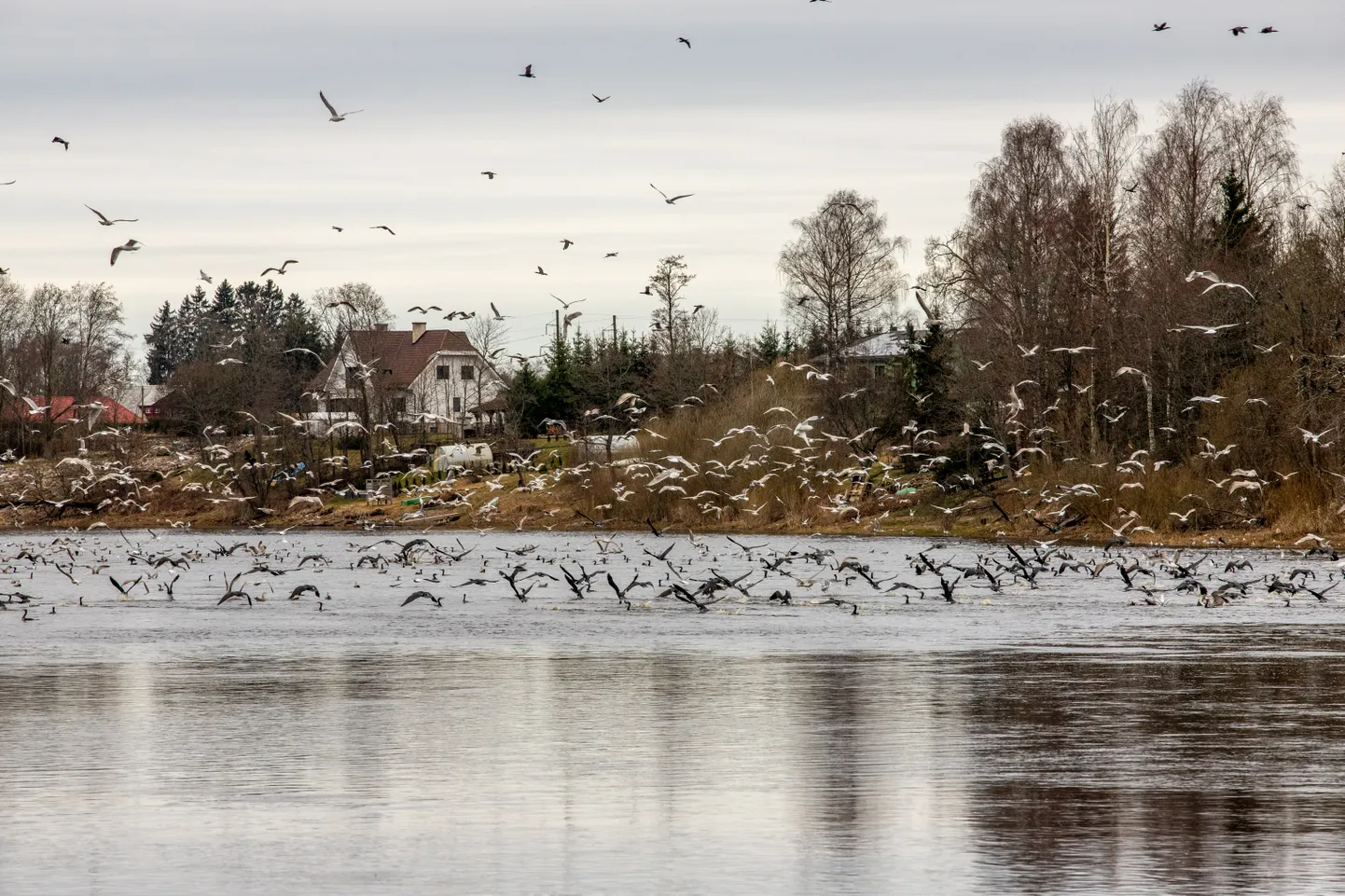 Pärnu jõgi. Pilt on illustratiivne.