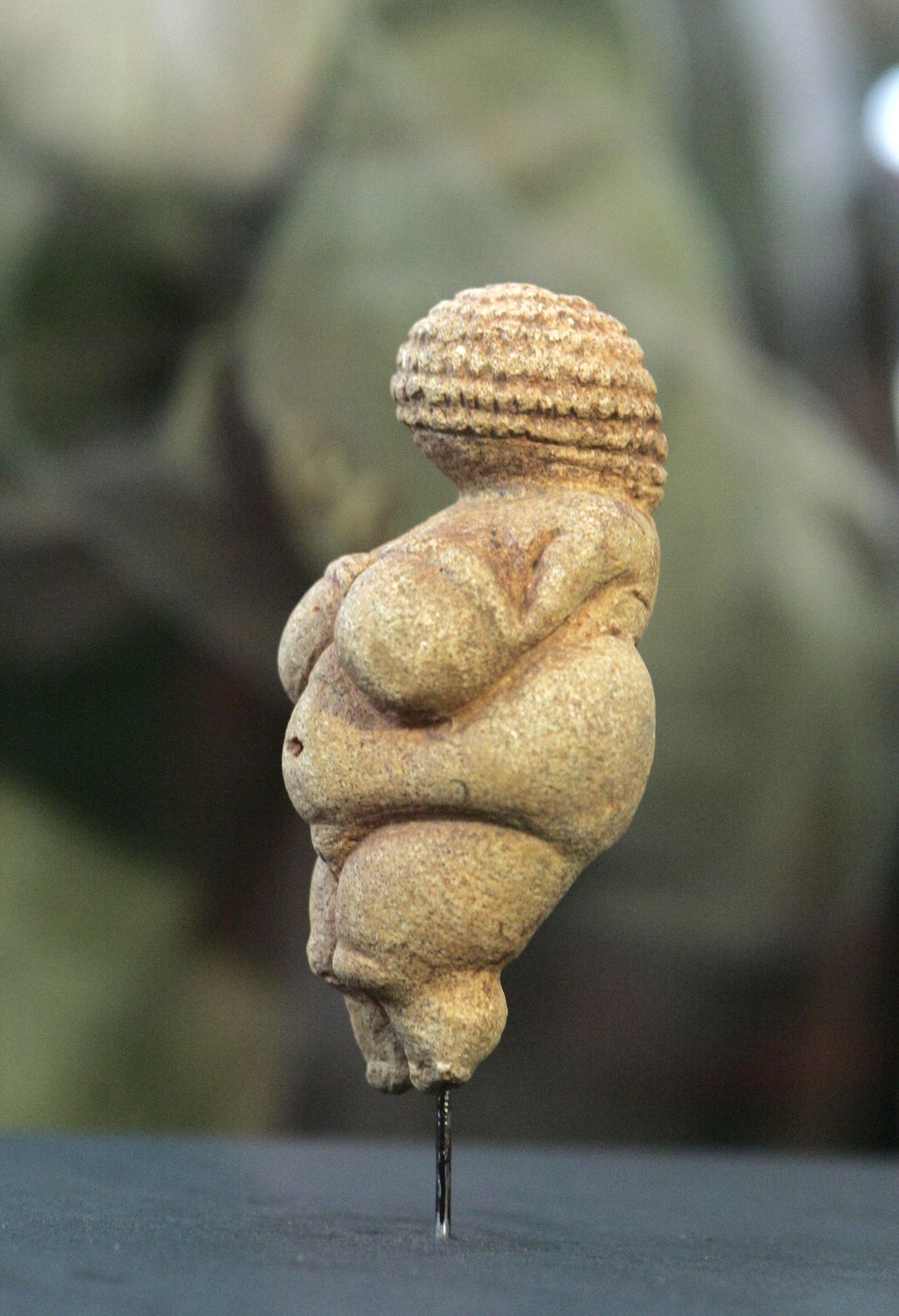Kiviaja üks kuulsamaid kujusid - Willendorfi Veenus. Samalaadsed kujud leiti nüüd ka Venemaalt