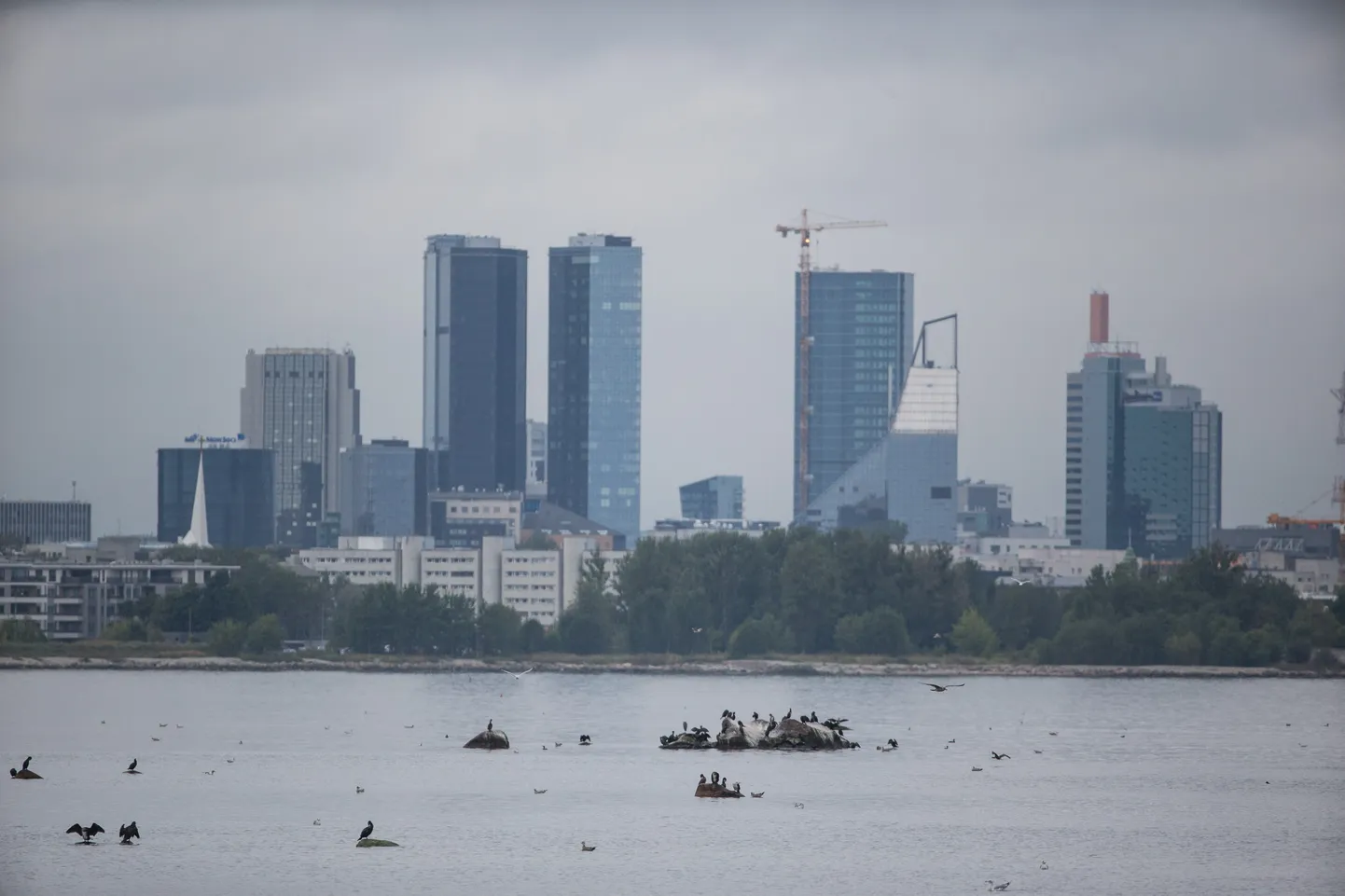Tallinn.