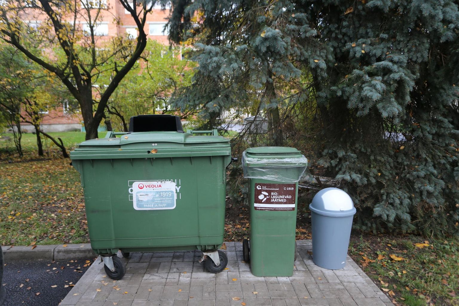 Tartus saab korraldatud jäätmeveoga kodude juures ära anda segaolmejäätmeid, vanapaberit ja biojäätmeid. Suurjäätmetest ja pakenditest lahtisaamisega peab igaüks ise tegelema.