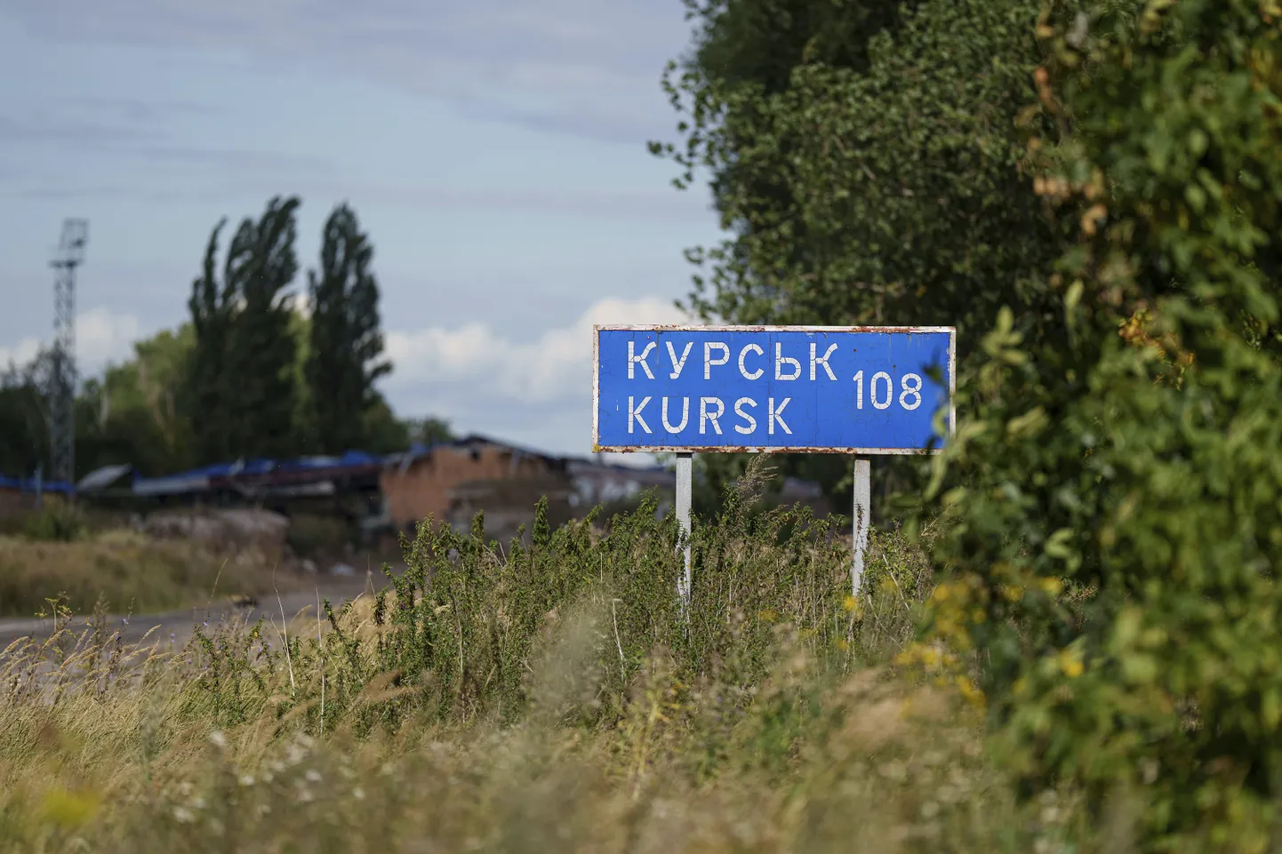 Дорога в Курскую область.