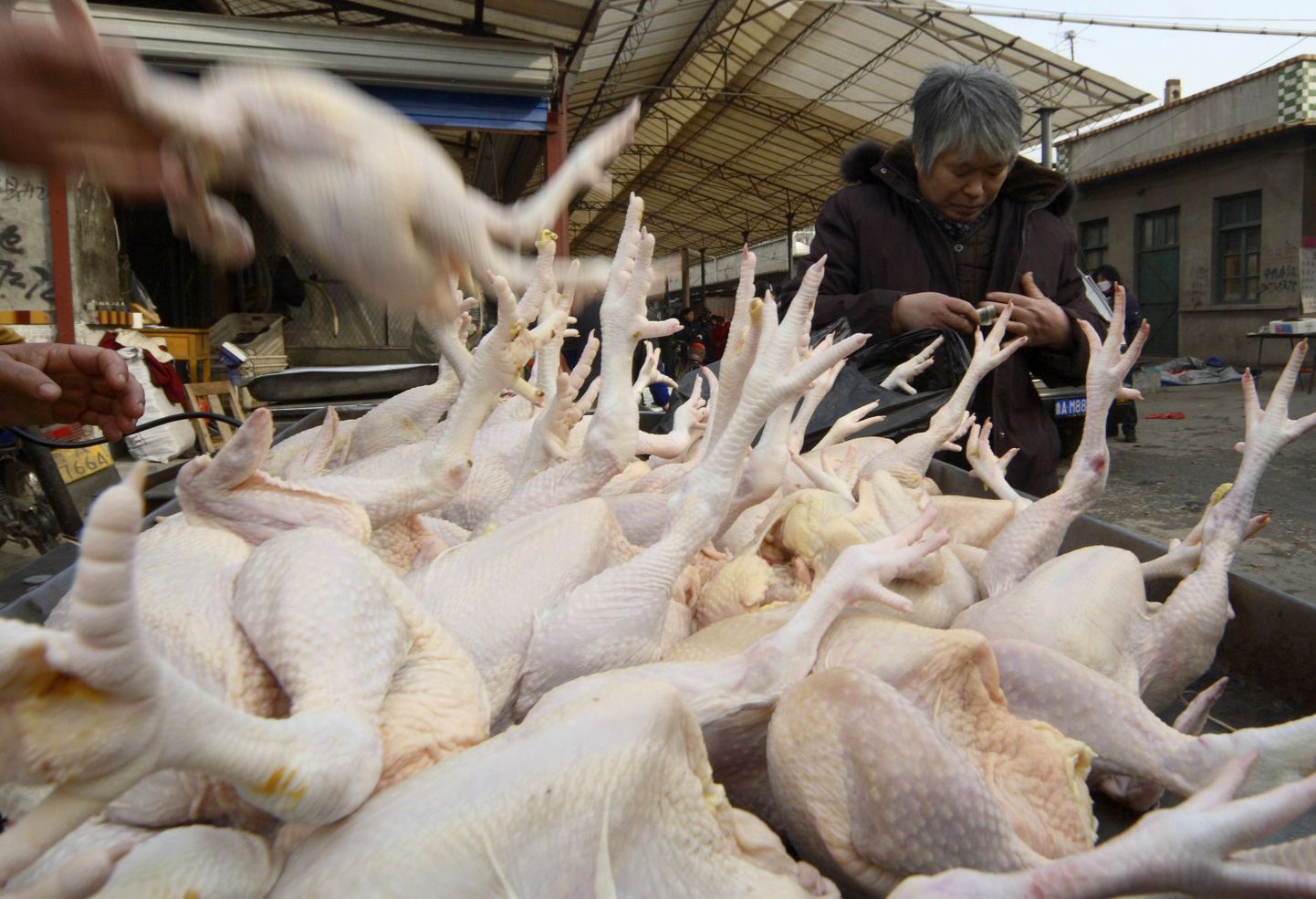 Птичий грипп унес в Китае несколько жизней