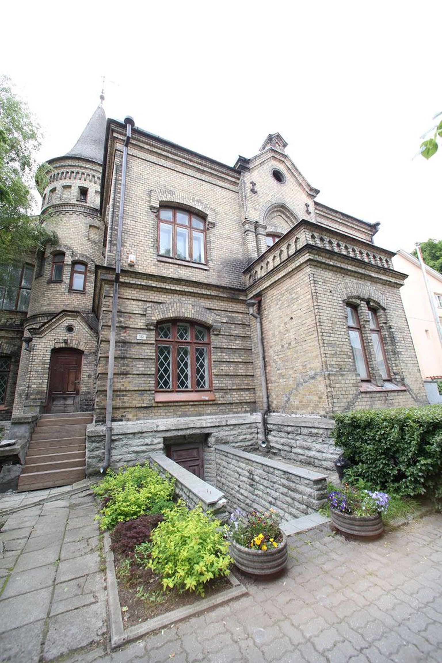 Okasroosikese loss Uuel tänaval, kust vanalinna hariduskolleegiumi muusikakool välja puksiti. Tallinna linn andis ruumid lihtsalt teistele rentnikele.