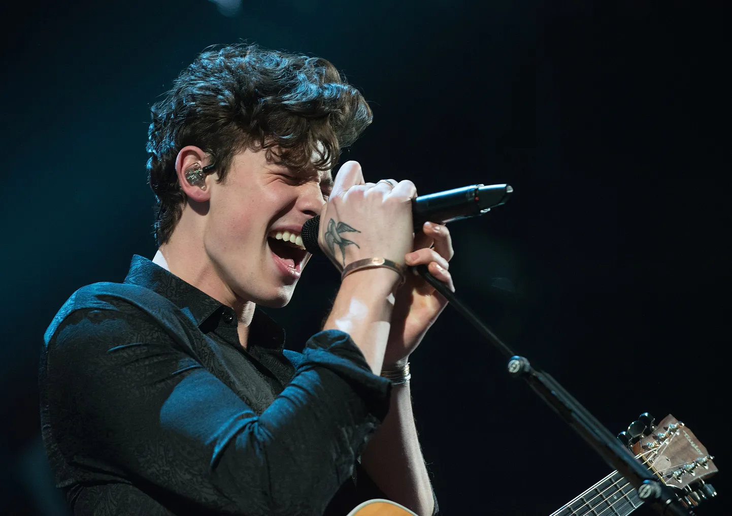 Shawn Mendes,2018.