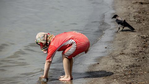 Департамент здоровья предупреждает: на этих таллиннских пляжах лучше не купаться