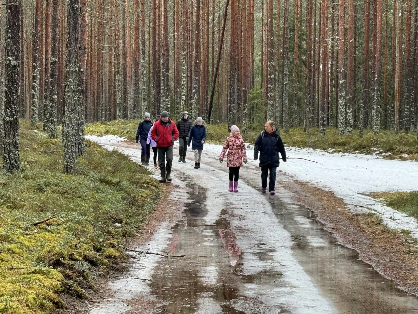 Nagu ütles korraldaja, oli tänavu Sakala tee matkarada kehvas seisus. Jää vaheldus mudaga.