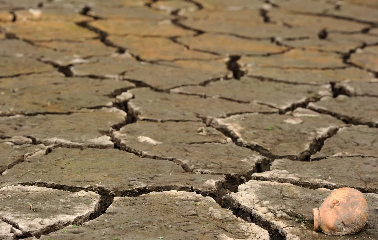 El Niño tagajärjed Hondurases.