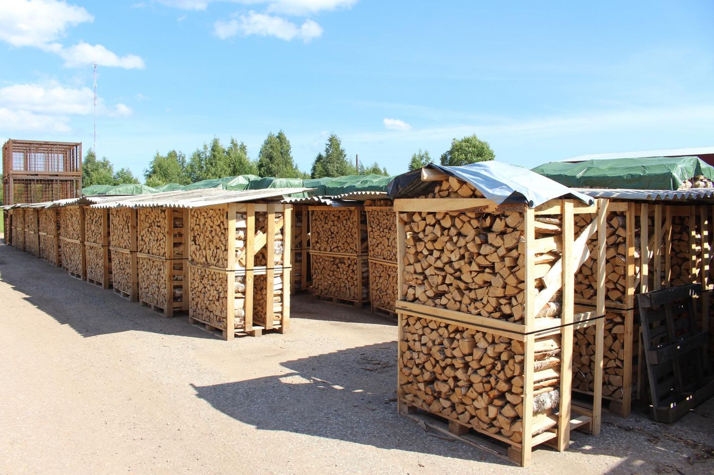 Metsamaterjali hinnad on praegu kõrged ja soosivad puidu müüjaid. Pildil on OÜ Värska Laht laoplats. Tomi Saluveer