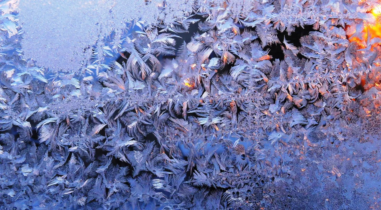 Võitjaks osutunud Pille Laari foto.