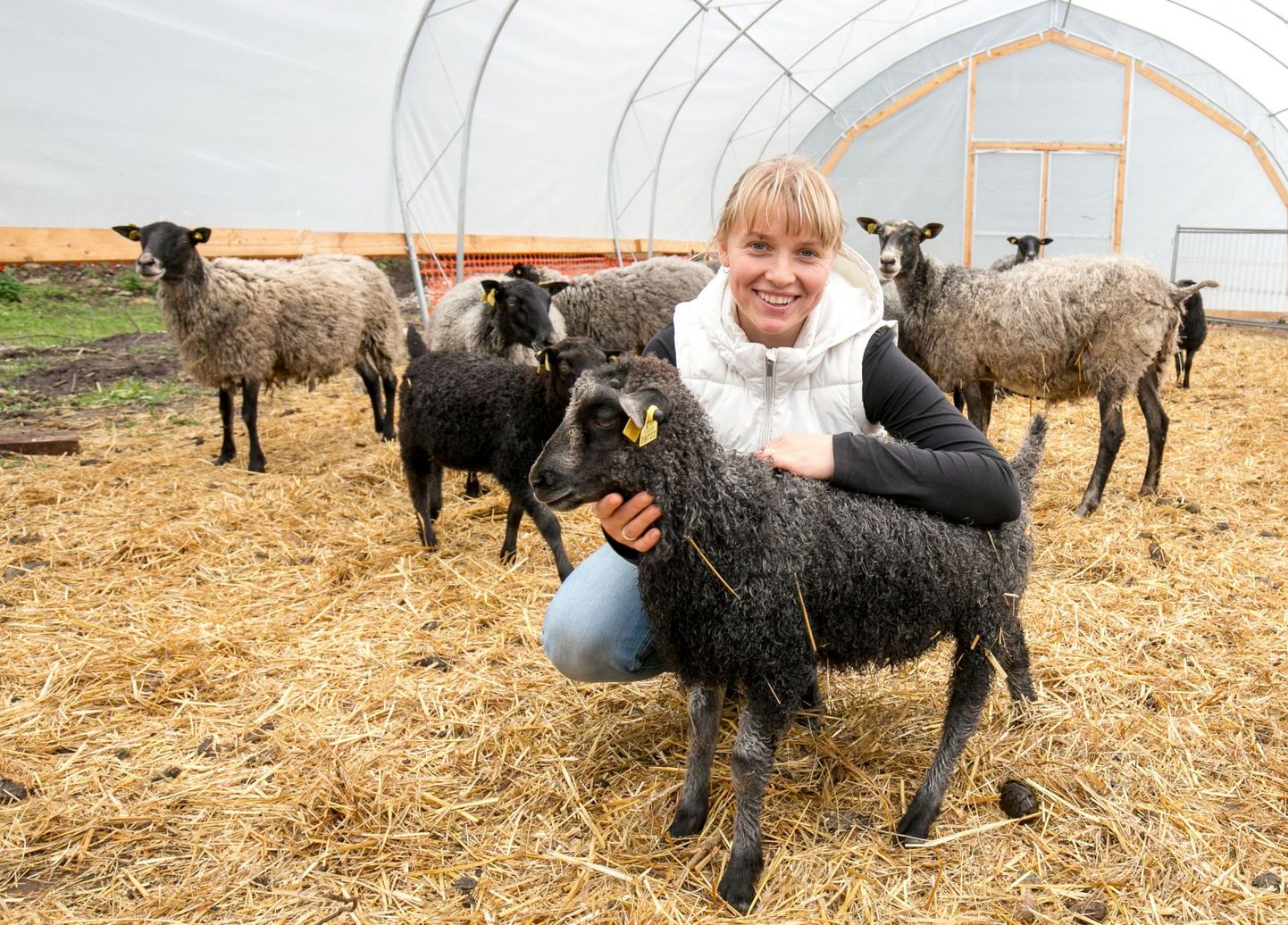 Mätiku talumeierei omanik Mirjam Pikkmets võib agroturistidele näidata koduloomi: peale lehmade ja kanade lambaidki.