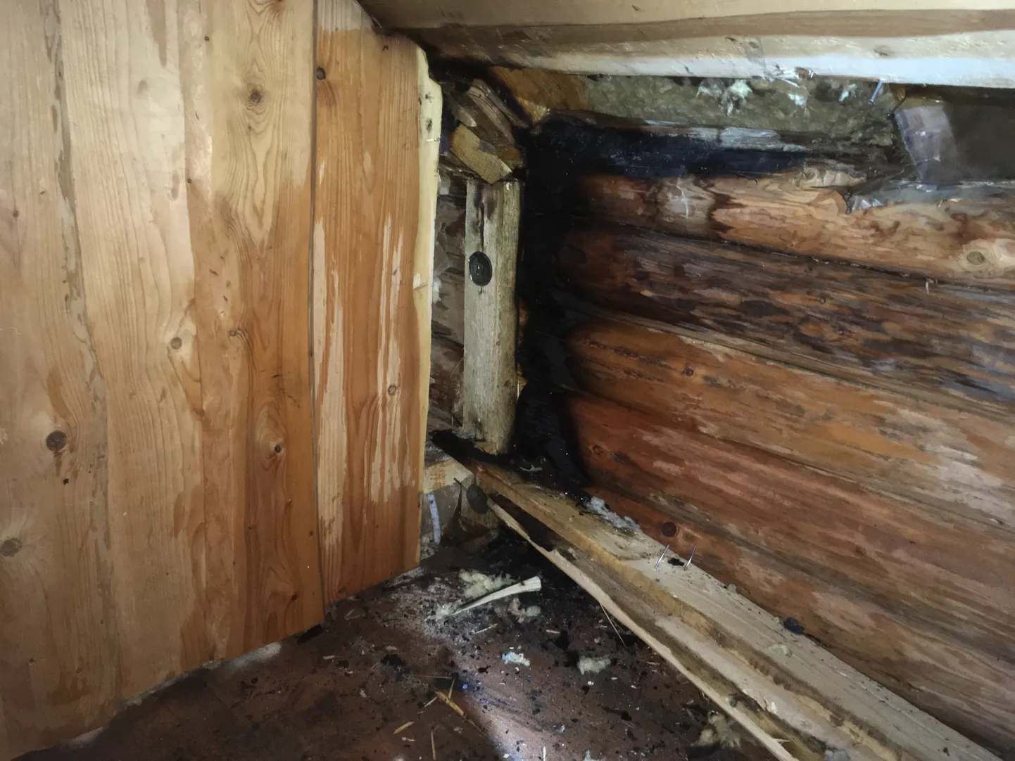 Antsla vallas süütas küünal palksauna seina.