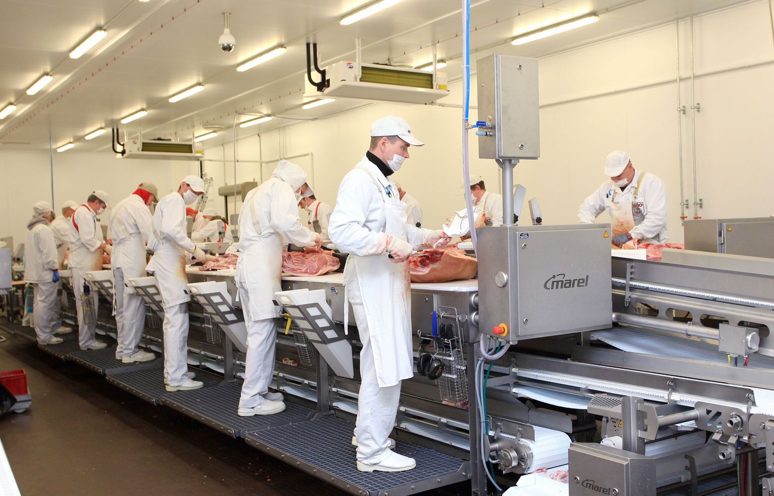 Nõo lihatööstuses eile avatud tootmishoones töötab uue lihalõikusliini taga korraga 14 inimest.