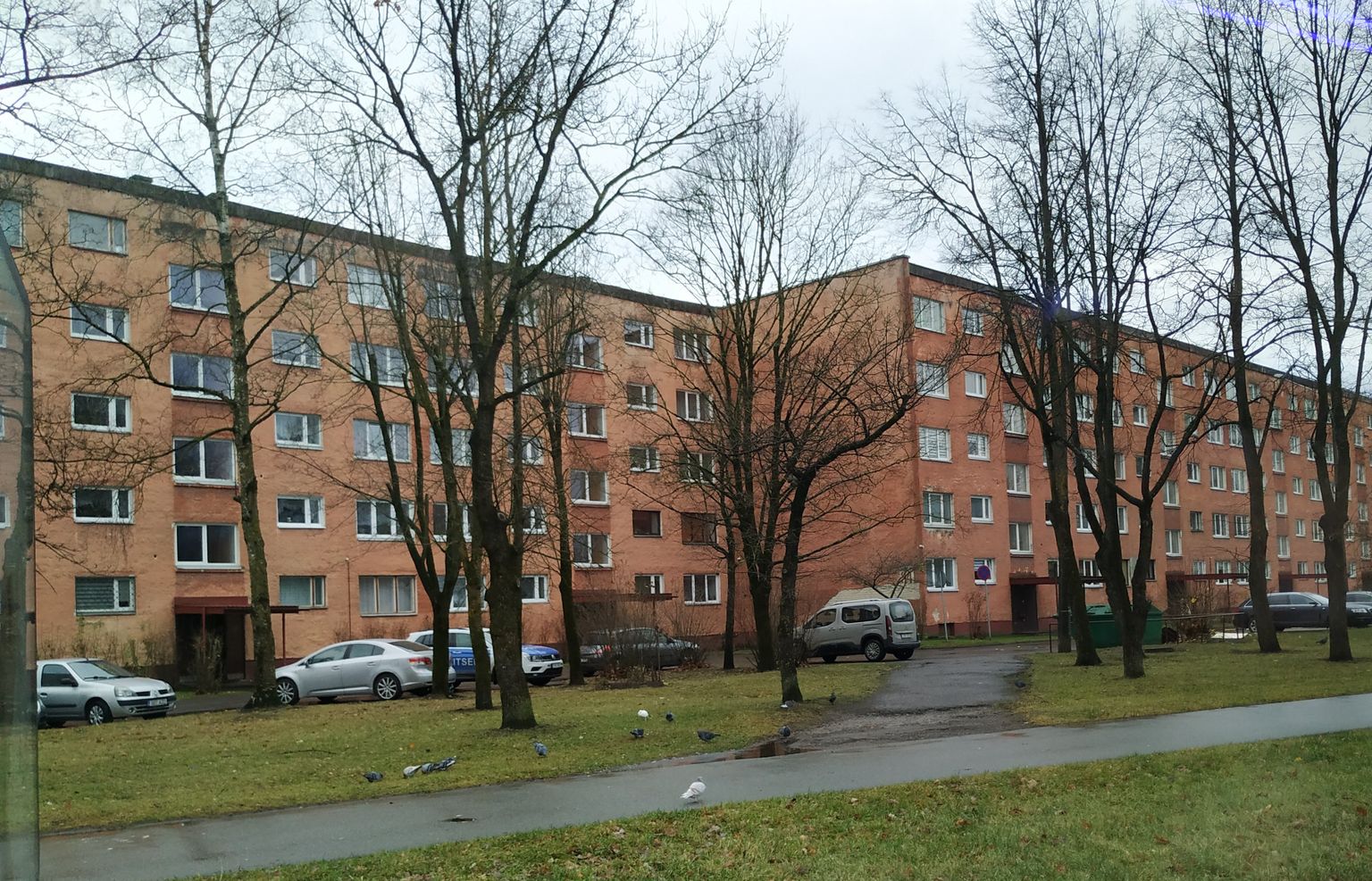 Многоквартирные дома в Нарве.