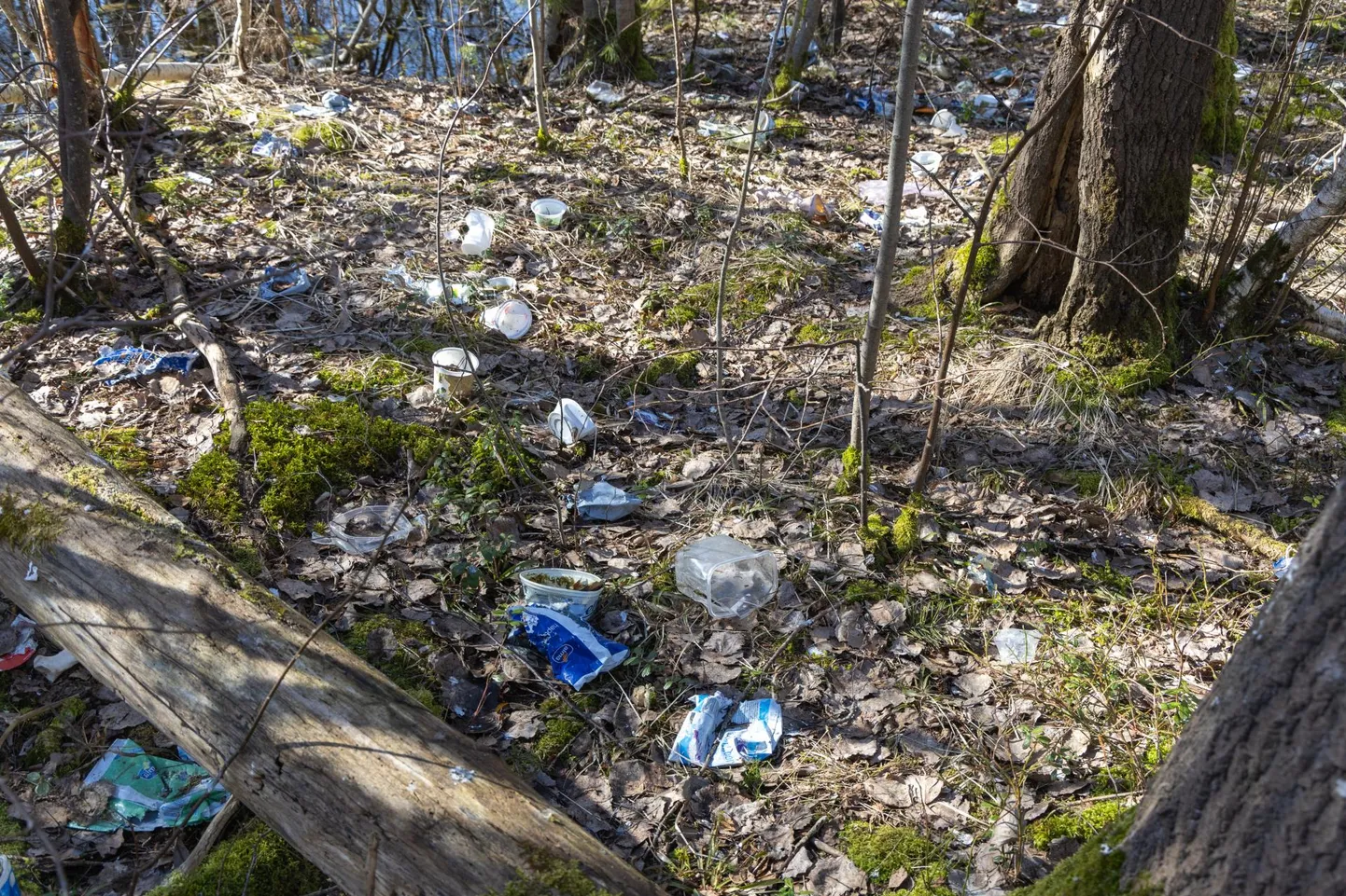 Viljandi linnavalitsus on otsustanud jäätmejaama ümbruse heakorral silma peal hoida ning asus Eesti Keskkonnateenustega selle üle kirjavahetust pidama. Lepingut lugedes selgus aga, et sellise prahi, mis pole lendpraht, peab linn ise ära koristama.