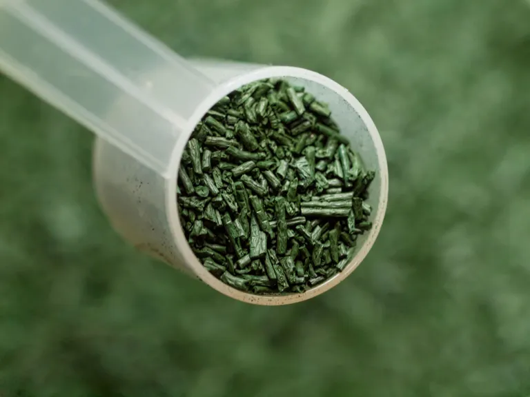 Spirulina helbed. Foto: