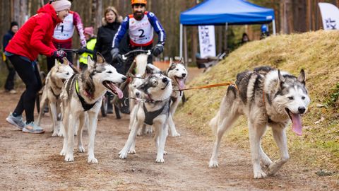 GALERII ⟩ Põhjamaised lemmikud võtsid mõõtu Jõulumäel
