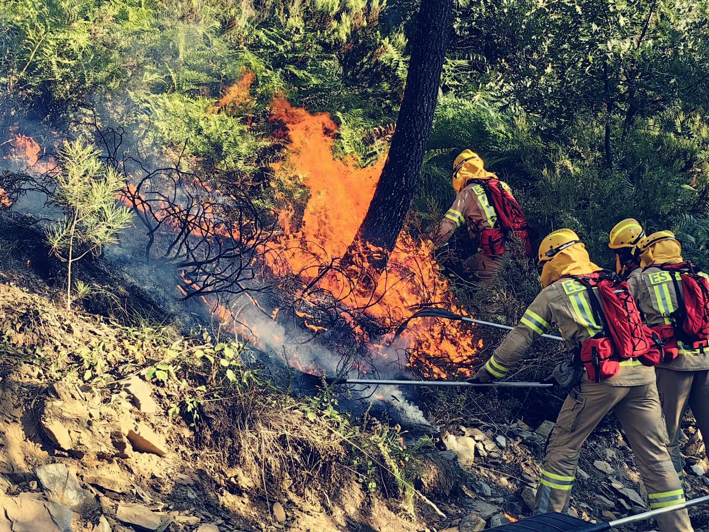 Eesti päästjad trotsisid Hispaanias metsapõlenguid kustutades kuuma ja suitsu. Vahel pidavat toss päikese nii ära varjama, et maapinnale saabub justkui öö.