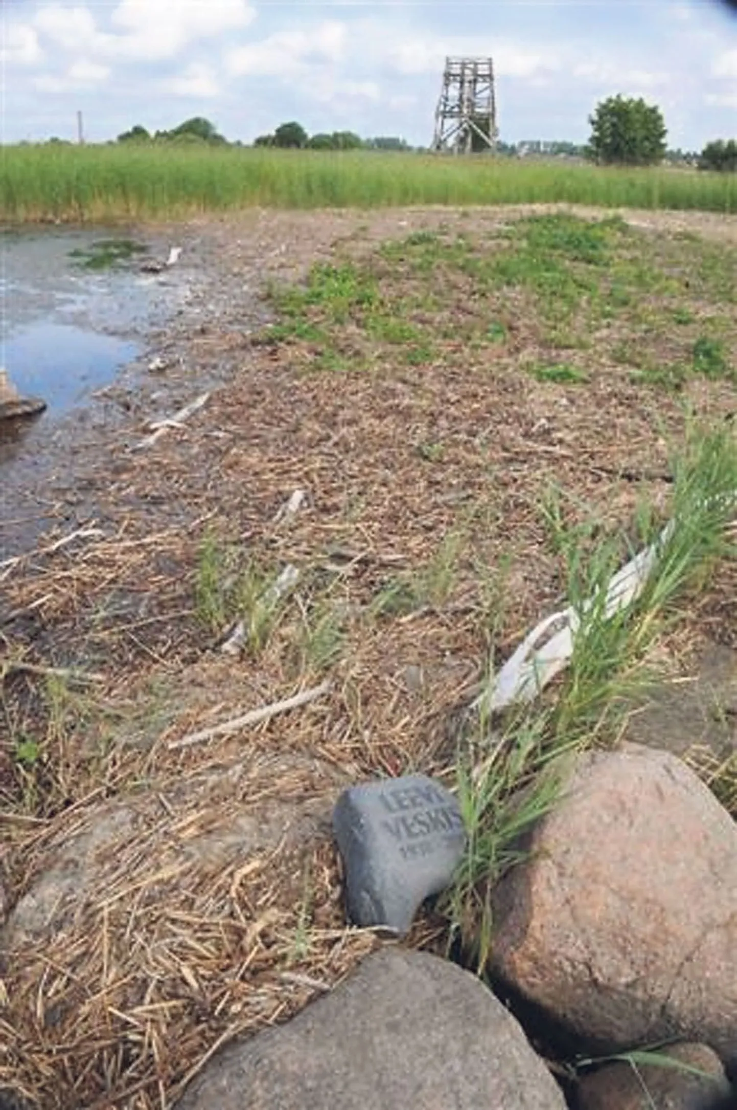 Kui mälestuskivi on muulile sattunud kadunu omaste teadmata, siis ehk tunnevad nad selle ära ja viivad, kuhu kivi oli mõeldud; kui aga teadmisel, käsib selle muulilt ära viia linna heakorraeeskiri.