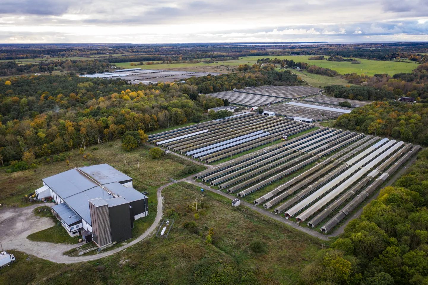 Balti Karusnahk ASi farm Karjakülas.