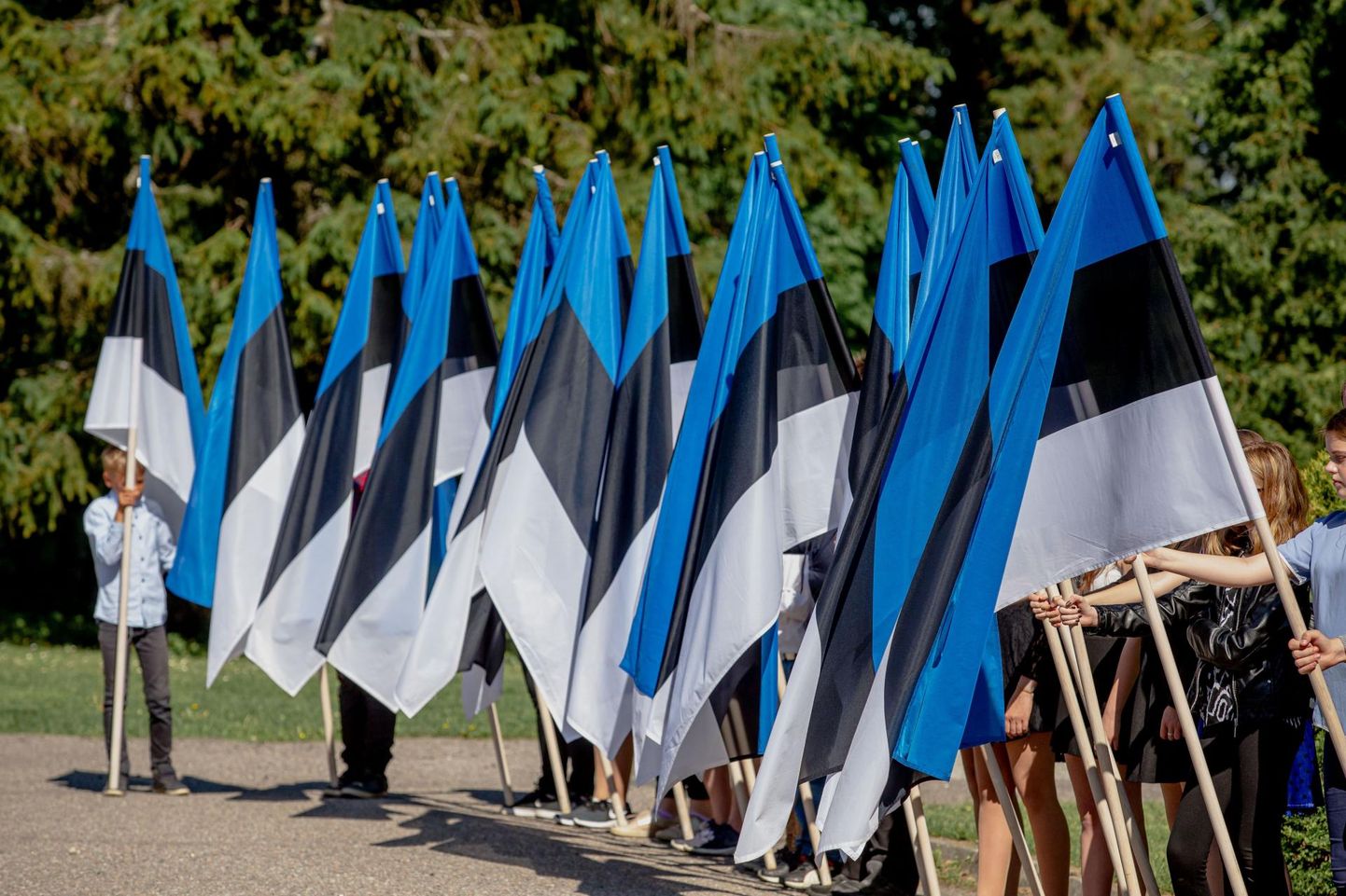 Eesti lipu 135. sünnipäeva tähistamine eelmisel aastal Sindis, Tori vallas. 