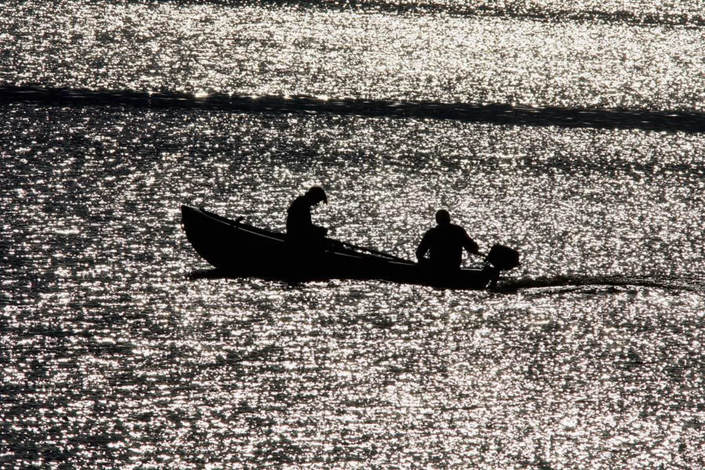 Võrtsjärve kallastele on viimastel aastatel tugevasti pilliroogu juurde tulnud, see aga takistab kalade vaba liikumist.