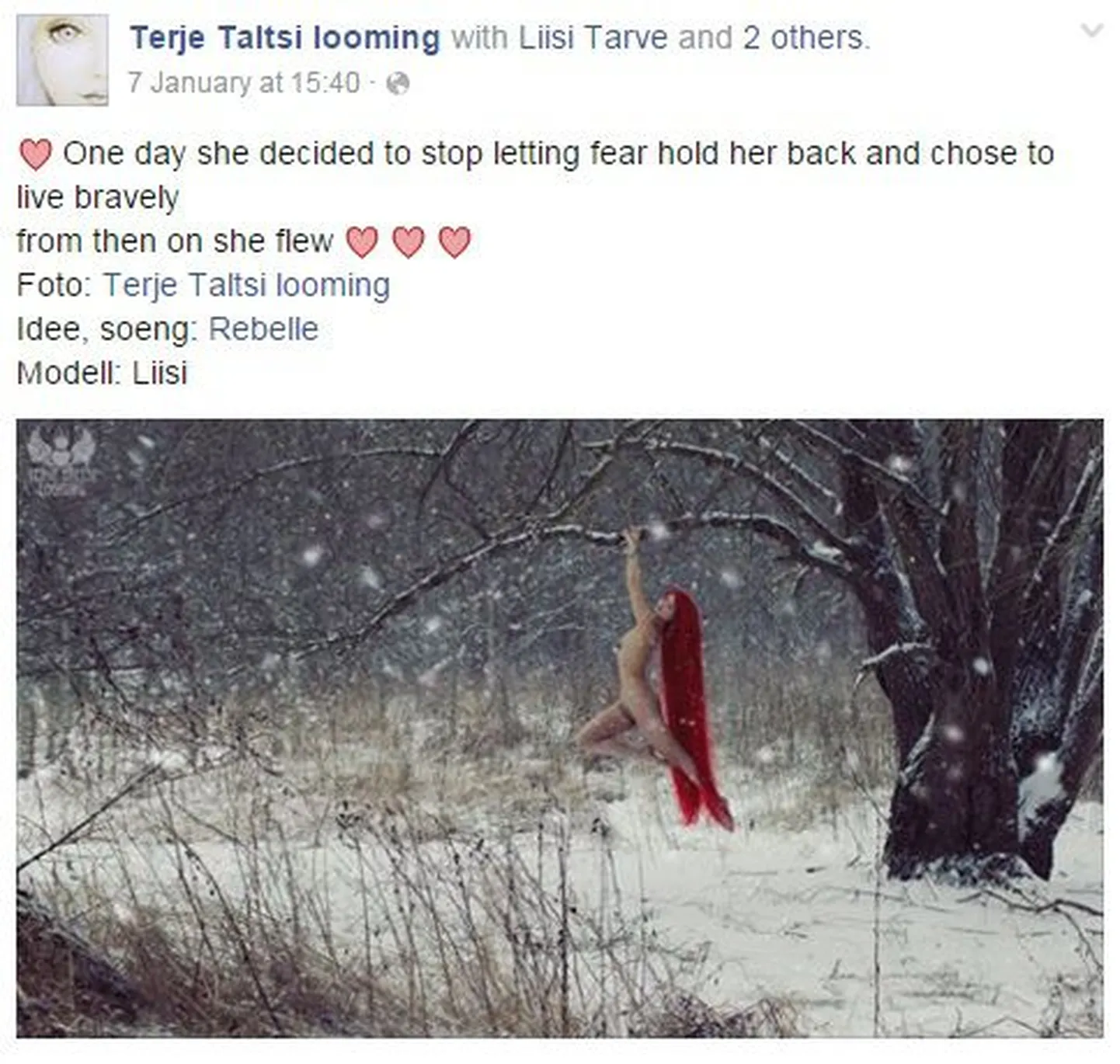 Terje Taltsi looming