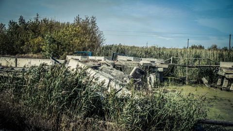 Russia lures Africans with jobs, sends them to fight in Ukraine: Report
