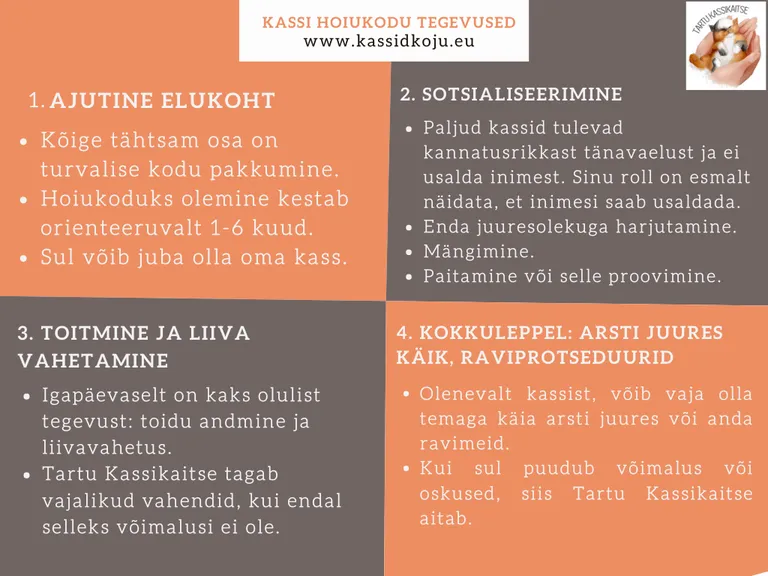 Alustava hoiukodu infoleht.