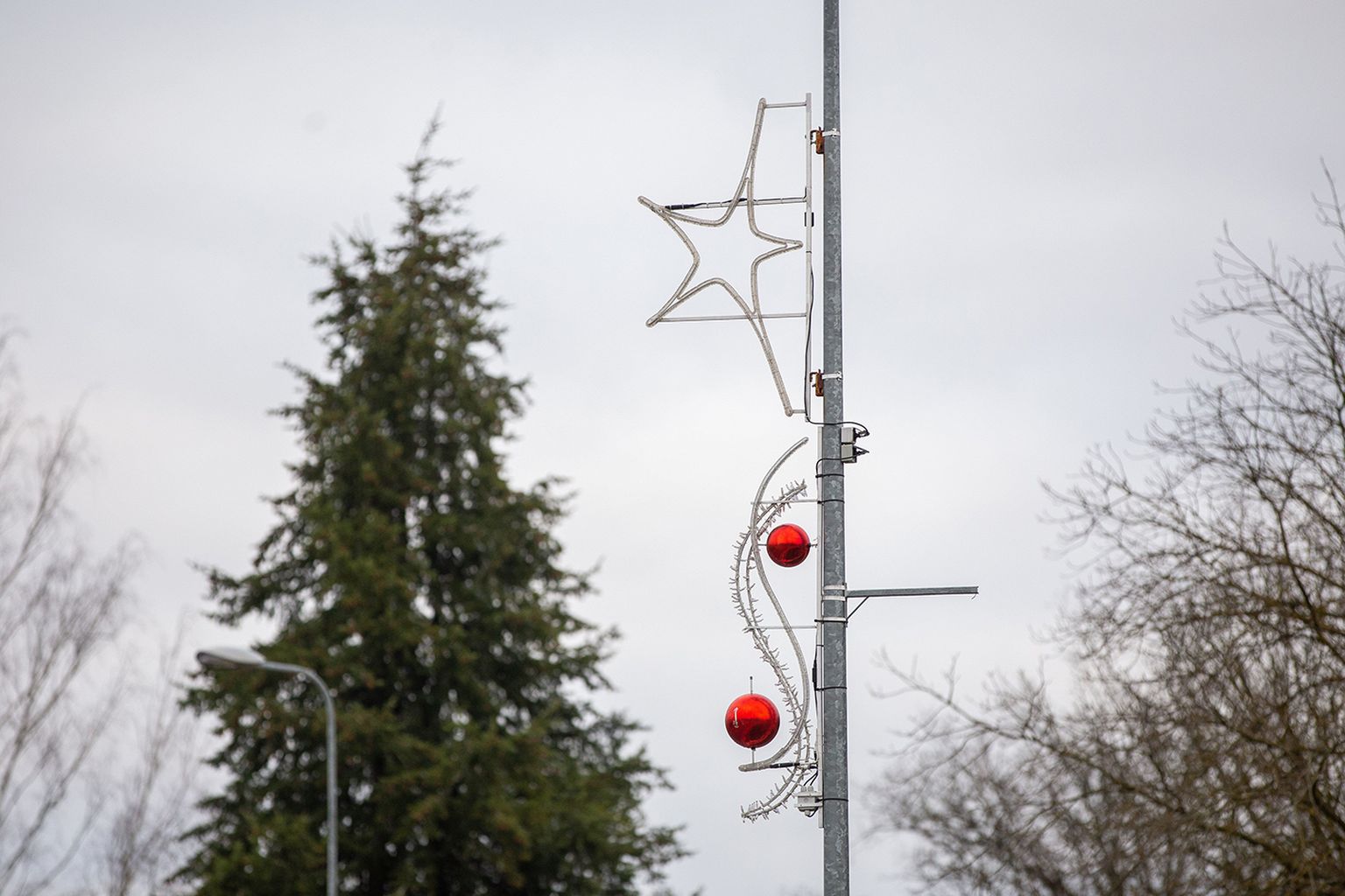 Türi tänavatele ja parkidesse paigaldati jõulukaunistused juba paari nädala eest, linna jõulupuu ehtimiseks aga oodatakse soodsamaid olusid – liiga pehme ilmaga autotõstukiga puule ligi ei pääse.